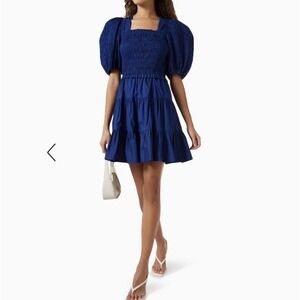SEA New York Sloane Smocked Cotton Mini Dress Blue Puff Sleeve Tuckernuck S